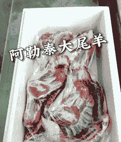 阿勒泰羊多少钱一只