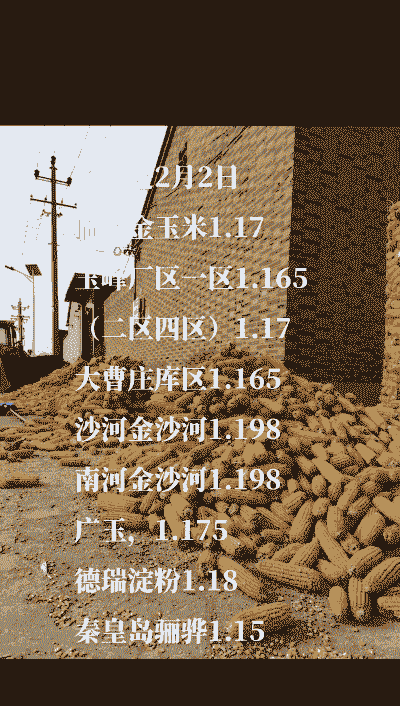 河北玉米价格多少钱