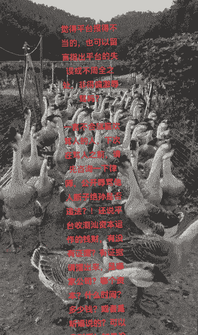 一只大鹅成本多少钱