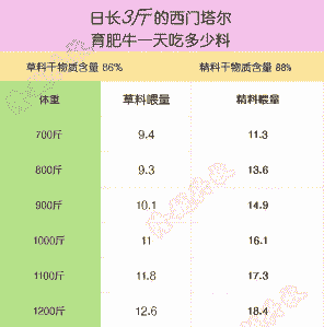 一个牛一天吃多少饲料