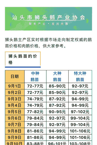 养鹅需要多少投资多少