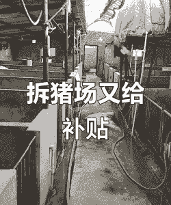 猪场拆除补贴多少