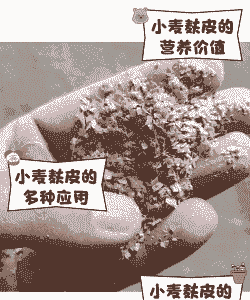 小麦出多少麸皮