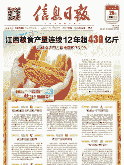 江西玉米亩产多少