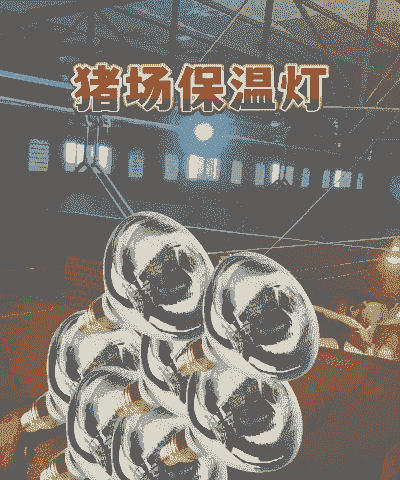 猪场保温灯多少瓦