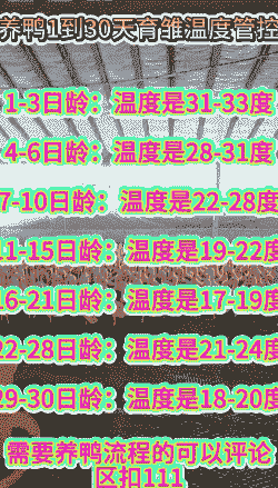 鸭苗保温多少度