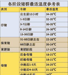 母猪气温是多少正常