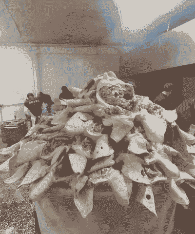 加工猪头有多少利润