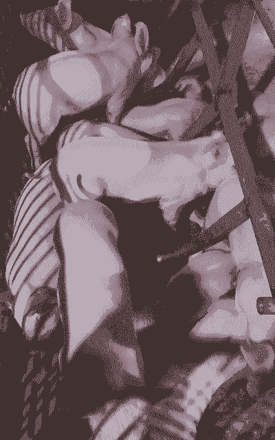 仔猪出生重多少正常