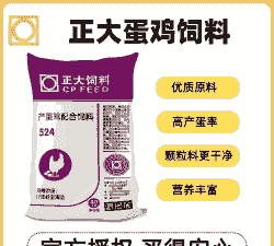 蛋鸡料需要多少蛋白