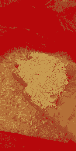 豆粕玉米各放多少