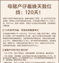 母猪产崽多少天