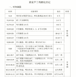 蛋鸡每天生多少蛋