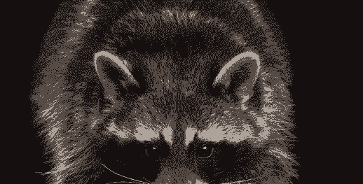 貉子毛的价格是多少