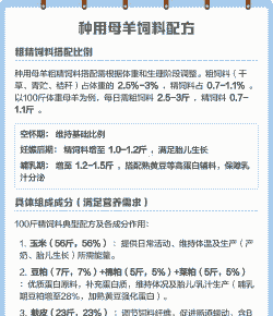母羊精饲料每天吃多少