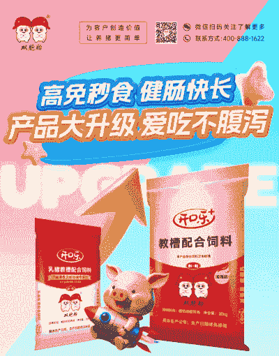 教槽料每天吃多少