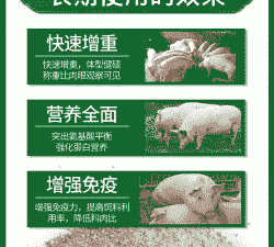 猪用预混料用多少玉米