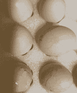 鸡蛋的破损率是多少