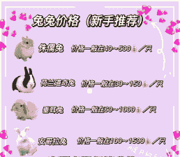 宠物兔的多少钱