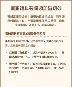 蛋鸡料加多少石粉
