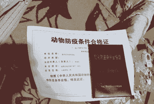 养多少鸡才能办执照