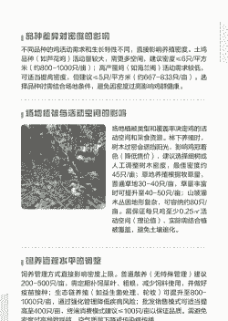 鸡的养殖密度是多少