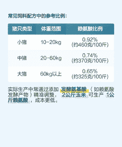 饲料赖氨酸加多少