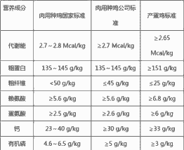 蛋鸡饲料含多少蛋白