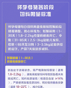 母猪妊娠前期喂多少料