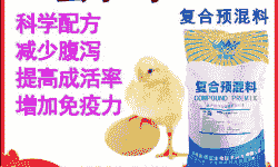 蛋鸡预混料育雏期是多少