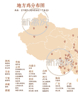中国养鸡户有多少