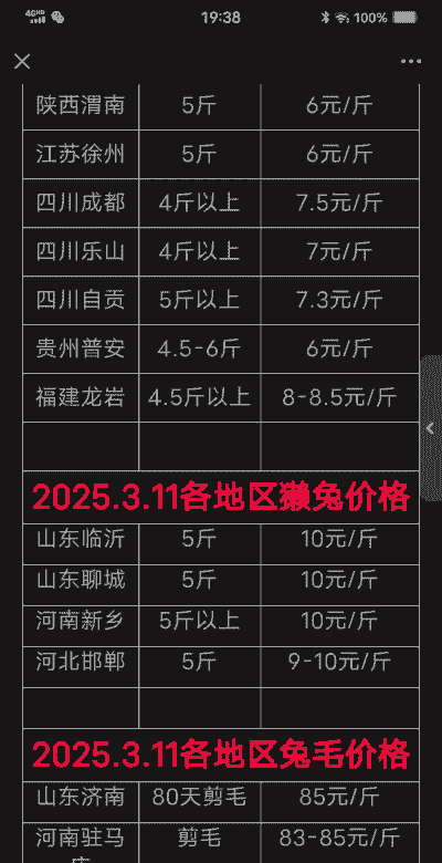 兔子每天为多少钱