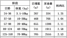大猪日增重是多少