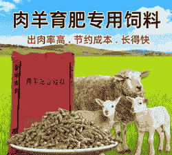 育肥羊饲料价格是多少