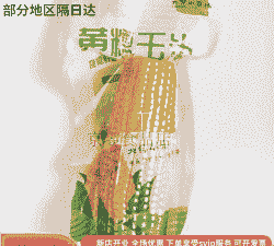 梅河口玉米多少钱啊