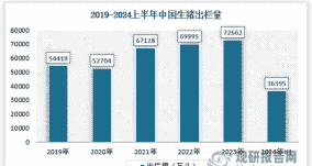 中国年产量多少猪