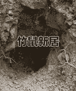 竹鼠有多少个洞口