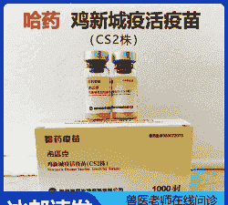 鸡新城疫注射多少羽
