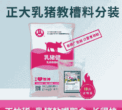 乳猪叫槽料需要多少蛋白