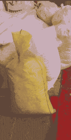 鲜豆渣按多少比例来喂猪