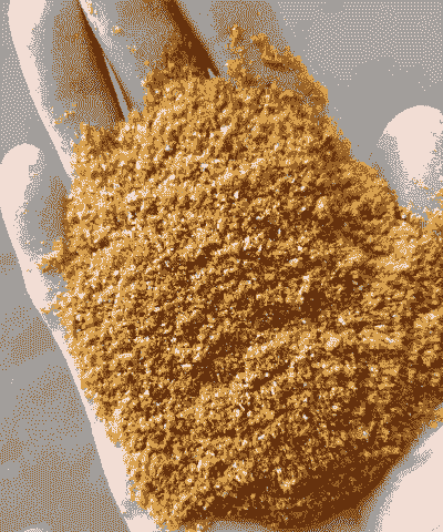 玉米酒糟多少钱吨