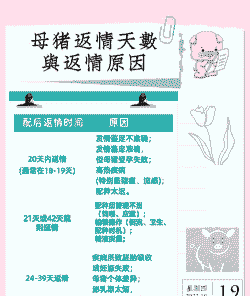 母猪返情率多少为正常