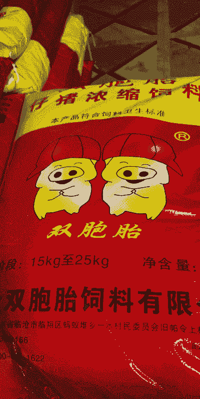 双胞胎月生产饲料多少