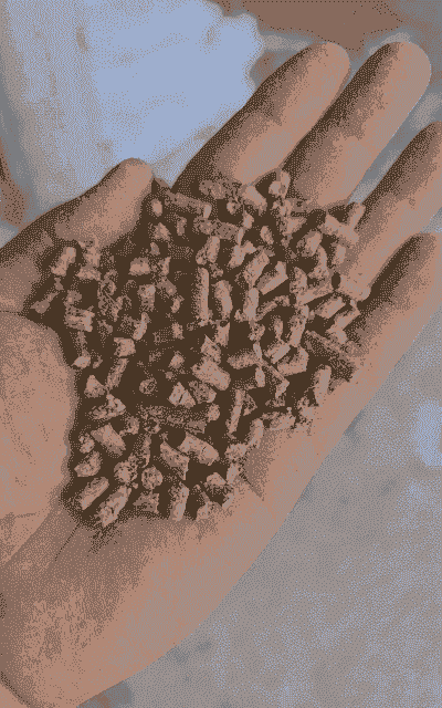 鸭的饲料成本是多少