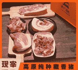 藏猪猪肉价格是多少