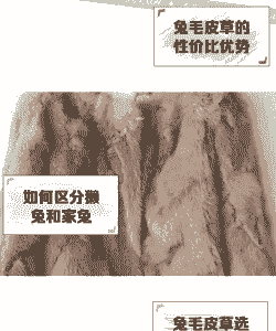 兔皮毛价格是多少钱