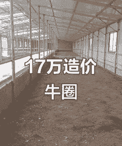建养牛场多少钱