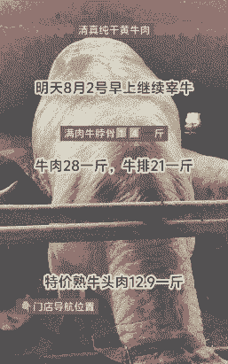 山东黄牛多少钱一