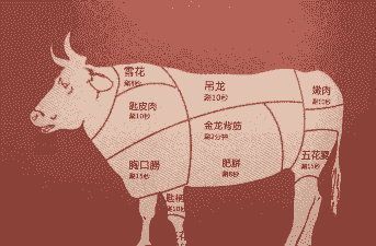 牛肉约占全牛的多少比例