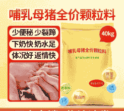 哺乳母猪要吃多少饲料